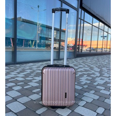 Валіза пластикова Wings 2011 rose gold 40*30*20